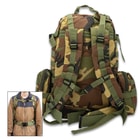 Rear image of the Assault Pack.